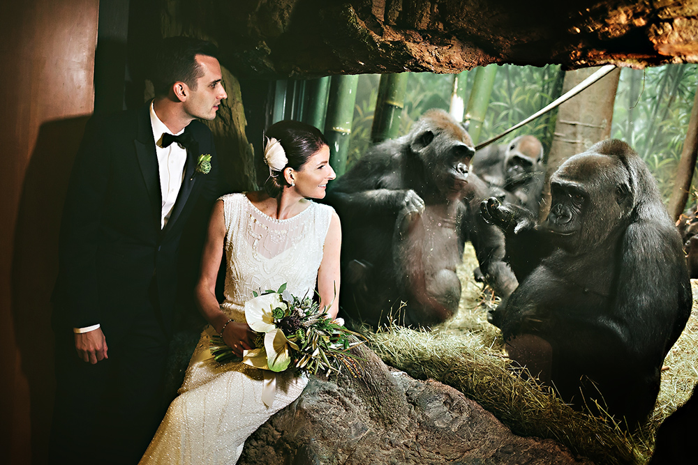 einphoto-Bronx-Zoo-Wedding-042