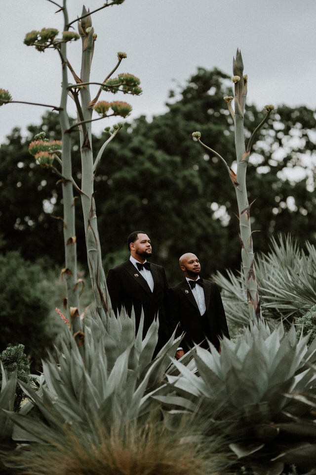 Vendor photo