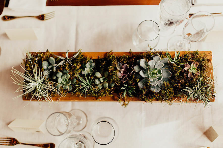Modern-Cuyahoga-Valley-Wedding-Dark-Wood-Succulents-Addison-Jones-23
