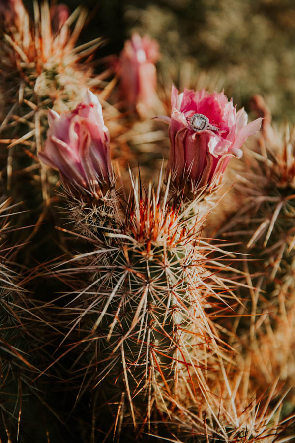this-cali-cool-joshua-tree-engagement-is-full-of-1970s-vibes-28