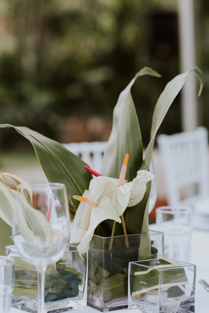 glamorous-fiji-wedding-at-the-garden-of-the-sleeping-giant-8