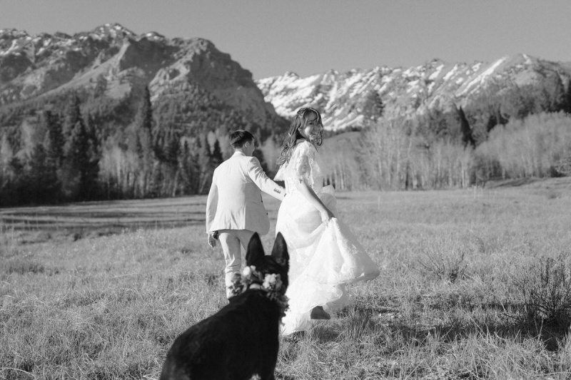 Vendor photo