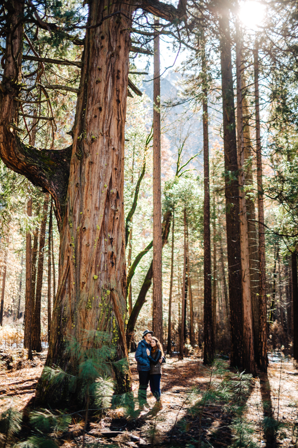 sweet-autumn-yosemite-engagement-photos-10