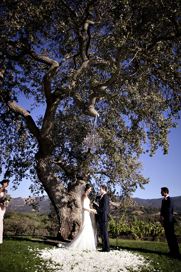vineyard wedding at Sunstone Winery, Santa Ynez, California, photos by Santa Barbara, CA wedding photographers Ashleigh Taylor Photography | via junebugweddings.com vineyard wedding at Sunstone Winery, Santa Ynez, California, photos by Santa Barbara, CA wedding photographers Ashleigh Taylor Photography | via junebugweddings.com