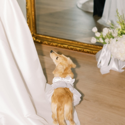 ING Weddings photo