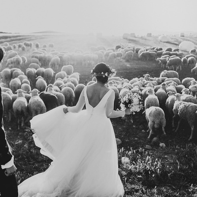 People Truelove Tellers photo