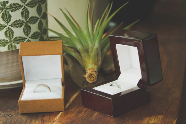 wedding rings and succulents wedding rings and succulents