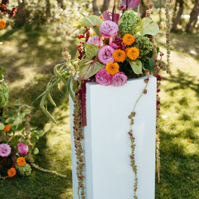 KARAKARA BLOOMS photo