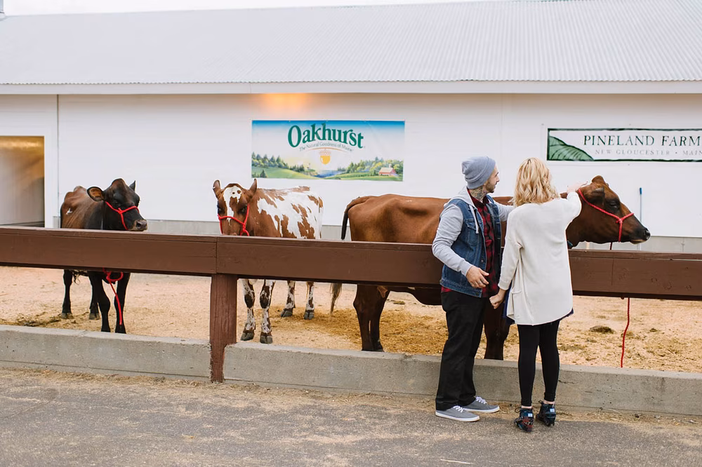 Adorably-Fun-Engagement-at-Fryeburg-Fair (23 of 37)