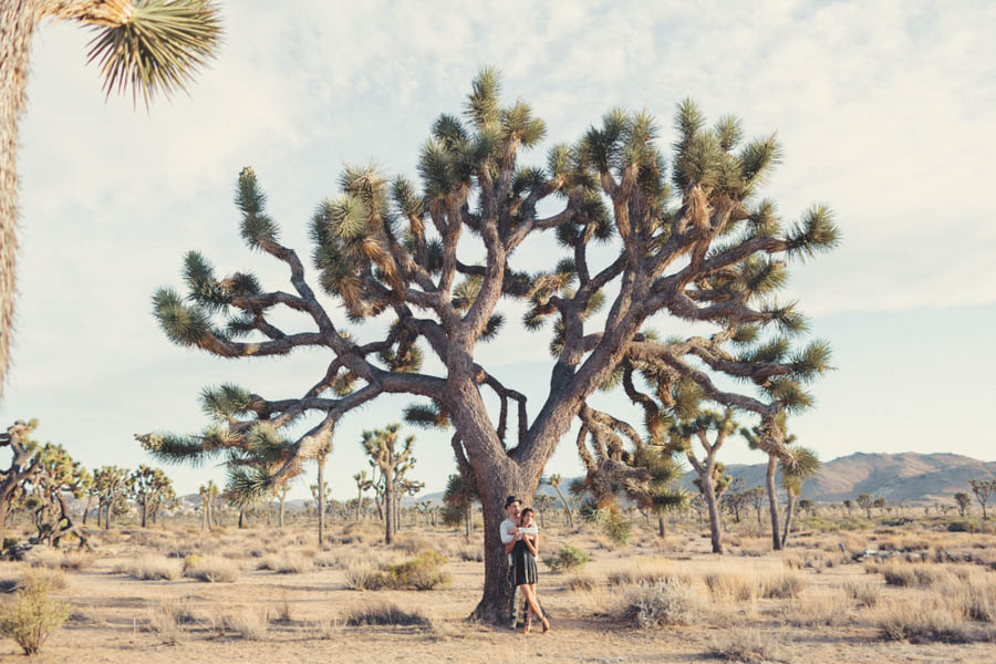 Breezy-Joshua-Tree-Engagement-Photos-at-Sunset-Anne-Claire-Brun-7