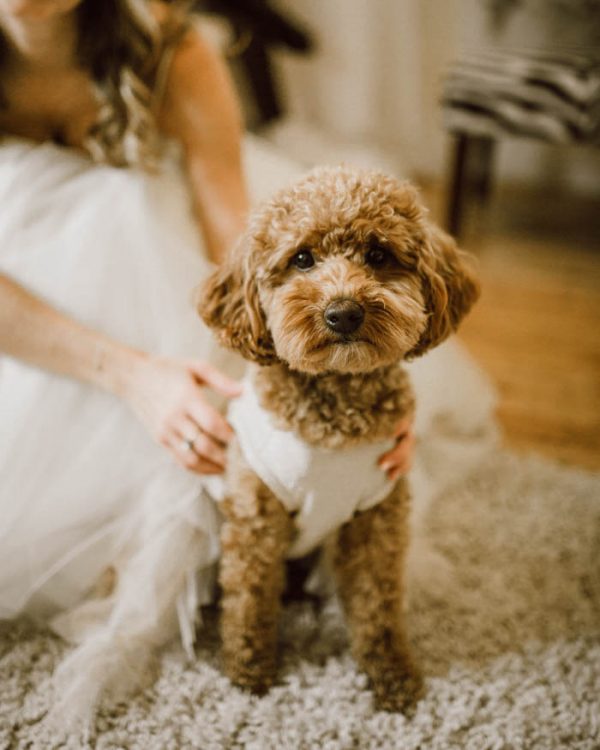 elegant-marsala-and-champagne-manitoba-wedding-at-the-rustic-wedding-barn-ariana-tennyson-photography-36-600x750