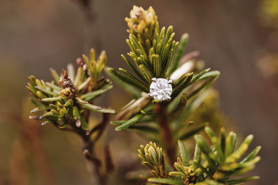 Squamish-British-Columbia-Engagement-Wonderlust-Photography-32