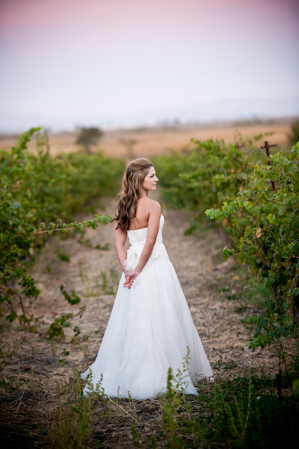 Vineyard wedding in Napa Valley of Sonoma, California with photos by Viera Photographics | via junebugweddings.com Vineyard wedding in Napa Valley of Sonoma, California with photos by Viera Photographics | via junebugweddings.com