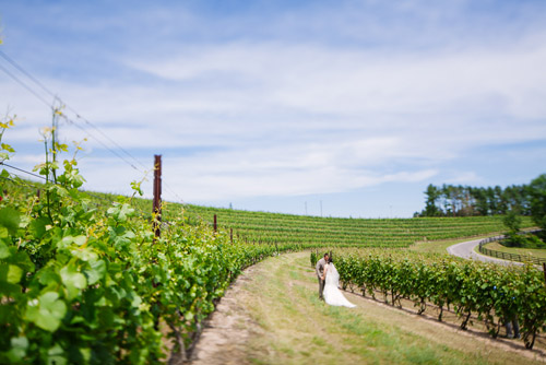 vintage metallic vineyard wedding in Michigan, photo by Dan Stewart Photography | via junebugweddings.com vintage metallic vineyard wedding in Michigan, photo by Dan Stewart Photography | via junebugweddings.com