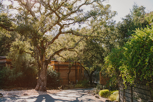classic and elegant vineyard wedding at Calistoga Ranch, CA with photos by Perspective Eye Photographer | junebugweddings.com classic and elegant vineyard wedding at Calistoga Ranch, CA with photos by Perspective Eye Photographer | junebugweddings.com