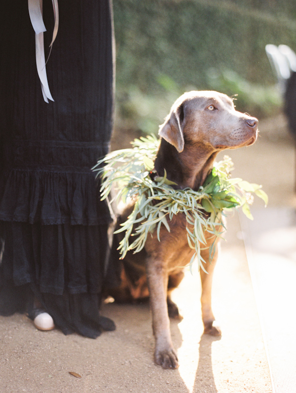 organic black & white wedding inspiration photo shoot, photo by Taylor Lord Photography | via junebugweddings.com organic black & white wedding inspiration photo shoot, photo by Taylor Lord Photography | via junebugweddings.com