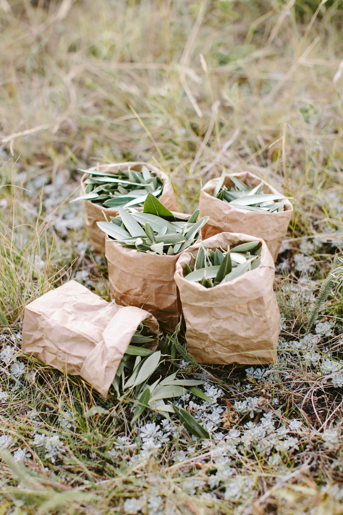 ntimate-mountaintop-wedding-inspiration-at-waterton-lakes-national-park-3